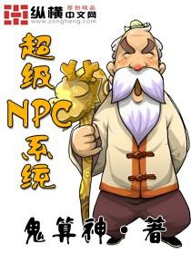 超级npc系统txt