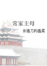 常家主母书评