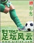 重生1994之足坛风云2顶点