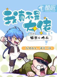 我真不是大佬漫画免费