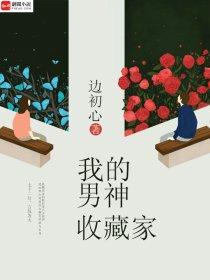 我的男神收藏家免费阅读