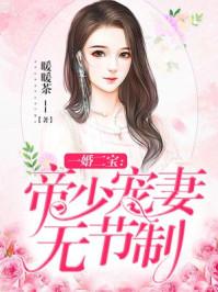 一婚二宝帝少宠妻无节制免费阅读全文