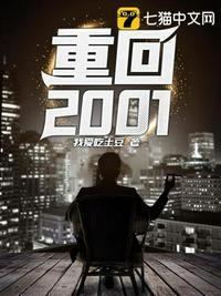 重回2001夜色迷人免费阅读