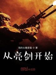 特种兵从亮剑开始崛起