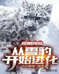 奥比岛宠物雪豹进化