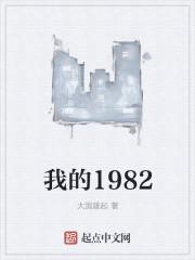 我的1982年宪法共进行了几次修改