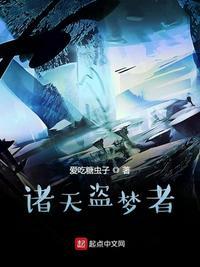 诸天盗梦者txt无错版