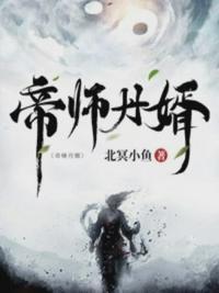 帝师王婿无弹窗