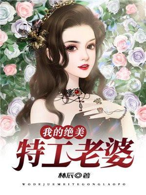 我的绝美特工老婆女生人公叶寒霜