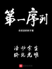 第一序列epub