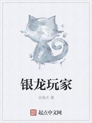 银龙怎么样