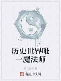 历史世界唯一魔法师txt