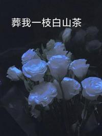 葬我一枝白山茶抄袭哪本书