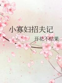 小寡妇招夫记 开花不结果无防盗txt