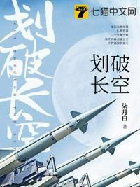 歌词我欲乘风划破长空