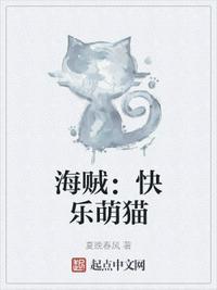 快乐星猫高帽子海贼团长