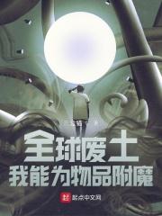 全球废土我能为物品附魔(1-211)