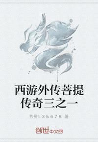 菩提西游电视剧叫什么