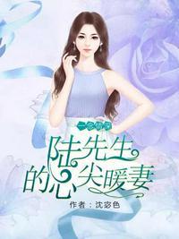 陆先生的心尖妻约