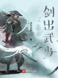 综武武当小师叔