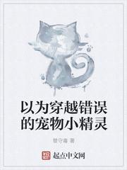 穿越方式错误的宠物小精灵插图