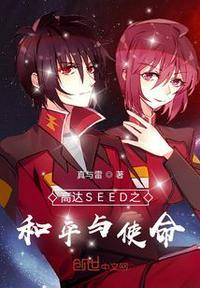 高达seed mv