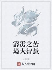 霹雳之在苦境当县令