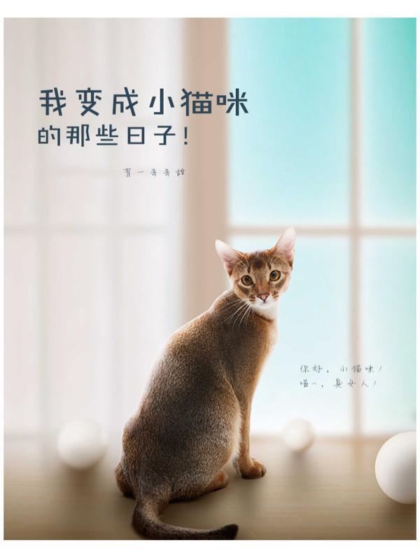 我变成了小猫作文600字