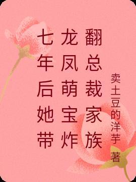 七年后她带龙凤胎回国