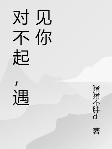 对不起相遇