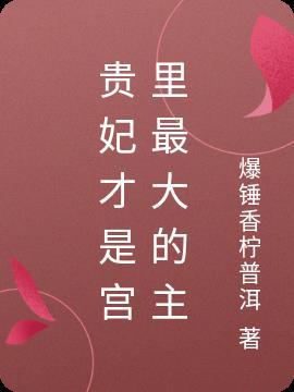 贵妃掌管什么