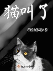 猫叫了个咪