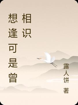 相识何必曾相逢歌曲