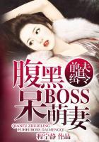 前夫追缉令腹黑boss呆萌妻250