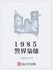 1985警界枭雄大魏招雷术