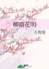 柳暗花明的作文