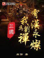 三国我为刘禅霄汉永灿板甲