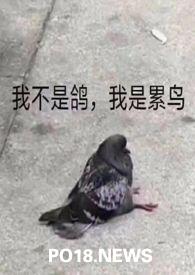 活化石的含义