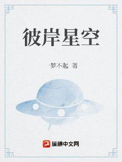 银河最强机师TXT免费