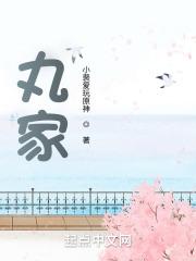 丸家(小裴爱玩原神)