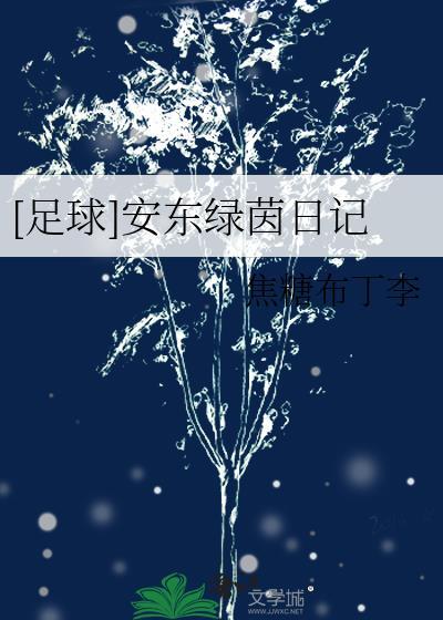 足球安东绿茵日记焦糖布丁李