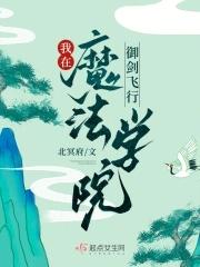 我在魔法学校任教的日子