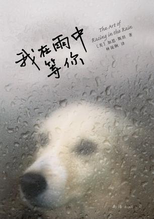 我在雨中等你原唱