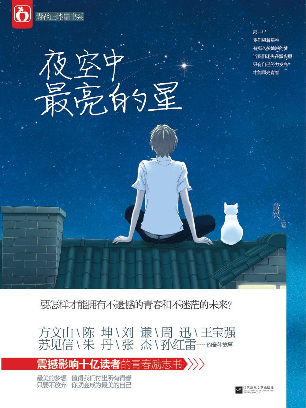 夜空中最亮的星电视剧