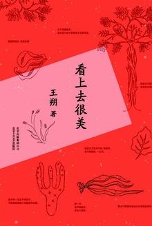 看上去很美观后感300字