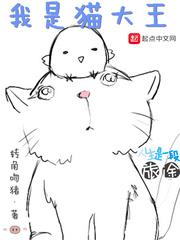 我是猫大王起点