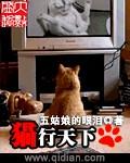 猫行天下自制猫粮能买吗