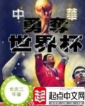 中国对勇夺世界杯原版