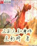 三国大驯兽师作者车祸