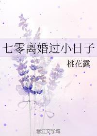 七零离婚过小日子全文免费阅读